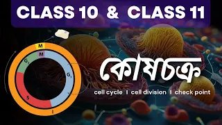 কোষ চক্র । কোষ বিভাজন part- 1🧬। Class 10 & Class 11 । BotanyTv