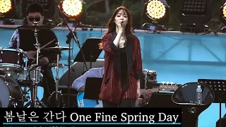 김윤아(Yuna Kim)봄날은 간다 One Fine Spring Day[4K]@170423 Rock Music