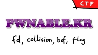 pwnable.kr - Levels: fd, collision, bof, flag