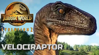 Jurassic World Evolution 2 - Velociraptor (Species Field Guide)