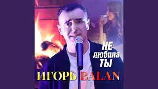 Не любила ты