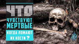 Что чувствуют мертвые? | Вероубеждение аш-Шафии [9 часть] | 'Умар ибн Сауд ибн Фахд аль-'Ид