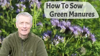 How To Sow Green Manures -  Part 1, Advantages Of Growing , Different Types, And Sowing Seed.