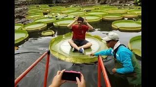 Водный парк Карангасем. Катание в листьях кувшинки!Бали.Индонезия