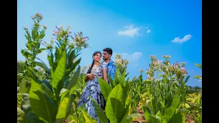 Maruthi   Akhila Pre wedding shoot video 2024