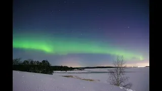 Северное сияние в Ленинградской области. Город Высоцк, 12 февраля 2022 года.