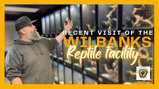 Wilbanks Reptile Facility | Incubators and Tree Pythons | #wilbanksincubators #treepythons #pets