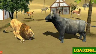 🐃African Buffalo Wild Bull VS Hungry Lion Simulator-By Clans