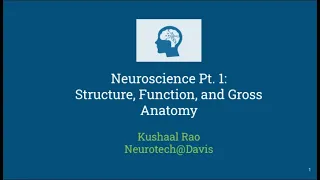 Module 1: Neuroscience Part 1