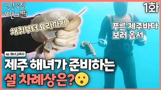 [인간극장 레전드 #227-1] 제주 해녀가 준비하는 설 차례상은? 직접 채취부터 요리까지! | 해녀 김옥자 (1/2) [KBS 160307-160311 방송]