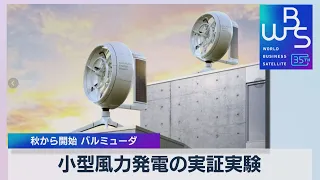 小型風力発電の実証実験　秋から開始バルミューダ【WBS】（2023年8月7日）