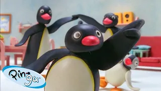 Good Times with Pingu 🐧 | Pingu - Official Channel | Cartoons For Kids