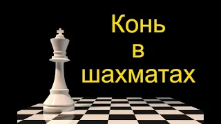 Конь в шахматах  The knight in chess  El caballero del ajedrez