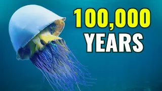 10 OLDEST Living Creatures On Earth!