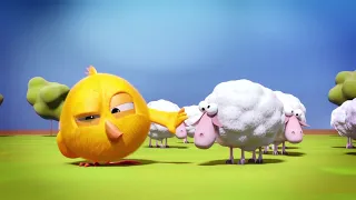 Onde está Chicky? 2022 🐏🌿 CHICKY E AS OVELHAS | Desenhos Animados Infantil | Novos episódios