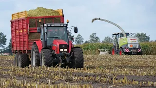 Chopping Corn Silage 2019, Claas Jaguar + 9 tractors - De Weer Bornerbroek