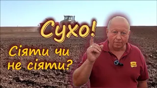 Сухо! Сіяти чи не сіяти?!