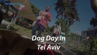 Dog Day in Tel Aviv