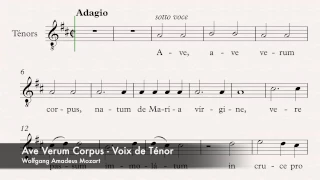 Mozart, Wolfgang Amadeus - Ave Verum Corpus - Guide voix - Ténor