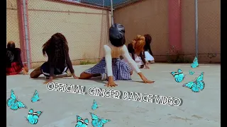 Ginger by Wizkid ft Burna Boy (Official dance video)