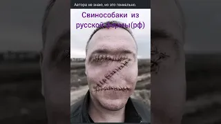 русская  свинособака из русской фермы(рф)