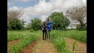 L'Agriculture Intelligente face au Climat en Afrique de l'Ouest et du Centre