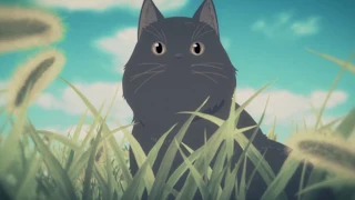 AMV -  She and Her Cat 1080p