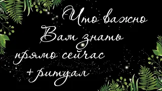 214 🍀 РИТУАЛ 🍀 ЧТО ВАМ ВАЖНО ЗНАТЬ ПРЯМО СЕЙЧАС. ПОТОК | Расклад Таро онлайн