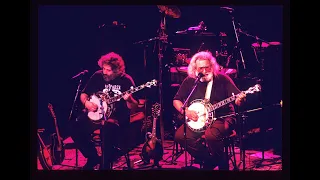 Jerry Garcia and David Grisman - 2/3/91 - Warfield Theater - San Francisco, CA - sbd