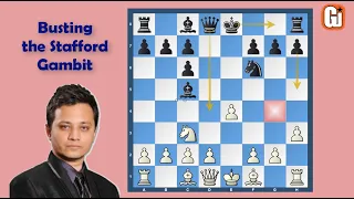 Chess Gambit Buster - 2 (Stafford Gambit)