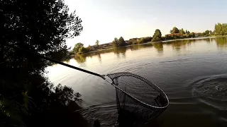 Záběry kaprů na method feeder