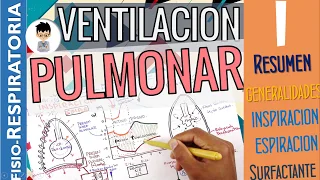 VENTILACIÓN Pulmonar, MECÁNICA RESPIRATORIA, INSPIRACIÓN ESPIRACIÓN, Fisiología Respiratoria | P1