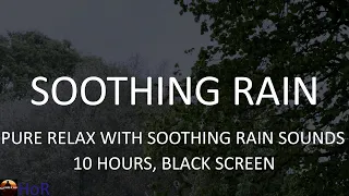 Fall Asleep Fast - Soothing Sounds of Rain in the Forest - 10 Hours of Pure Relax by House of Rain