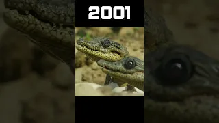 Evolution of Monty