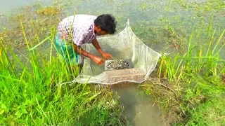 Village Fishing - Traditional Fishing by The Village People after raining