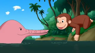 Curious George's Amazon Adventure / Monkey Senses | Jorge El Curioso | WildBrain en Español