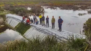 Wetland restoration case studies. Discovery Bay Coast SA/Vic. Mark Bachmann