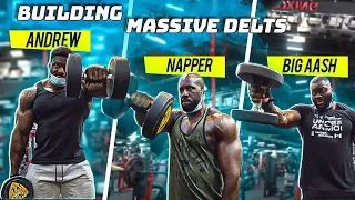 Building Massive Delts