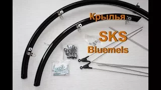 Установка крыльев SKS Bluemels.