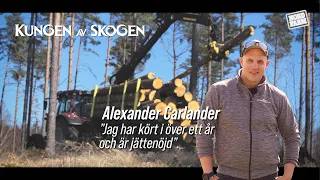 Palms skogsekipage - Kungen av skogen