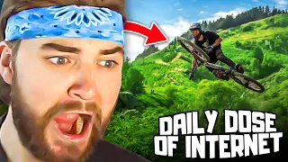 KingWoolz Reacts to DAILY DOSE OF INTERNET!! (Wild Footage)