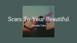 Alessia Cara - Scars To Your Beautiful [팝송 가사해석/번역/한글자막]