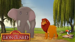 The Lion Guard - Simba's Funeral Attendance l Season 1 Clip