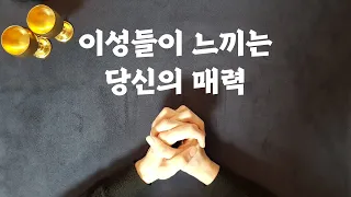 [타로/연애운] 이성들이 느끼는 당신의 매력