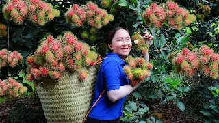 Harvest Chom Chom goes to the market sell - Delicious Rambutan dishes | Emma Daily Life