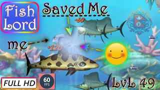 60 FPS | Feeding Frenzy 2 in HD (Level 49: Shallower Seas) | Gameplay | @gamingteachernepal