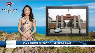 高官相继中招，武汉肺炎，让领导先走！美国宣布“紧急状态”   限制中国访客入境！中国人一夜醒来 “包治百病”的中成药被抢空（《万维读报》20200131-02 ZTXC）