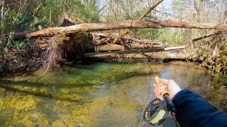 Fly Fishing Crystal Clear Water For BROWN TROUT! (North Georgia)