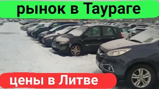 Авторынок в Таураге, цены в Литве