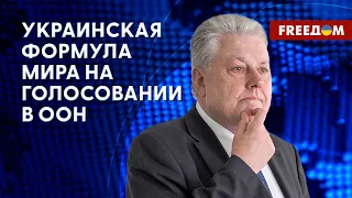 Как пройдет голосование за мирный план Украины в ООН. Прогноз Ельченко